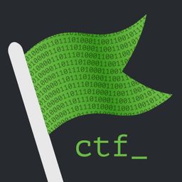 Hack the Website - CTF Challenge